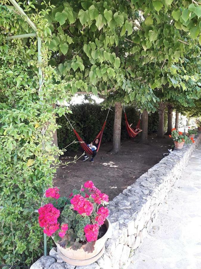 Villa Minerva Family Relais Alezio Exterior photo